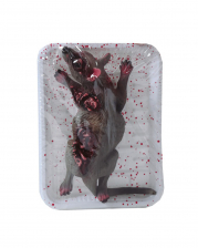 Blutige Ratte in Frischhalte Folie als Gruseldeko 