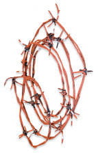 Rusty Barbed Wire 3,6 M 