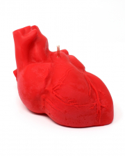 Rote Anatomische Herz Kerze 