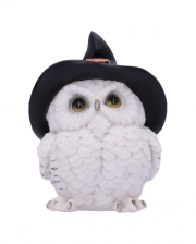 Snowy Owl With Witch Hat 