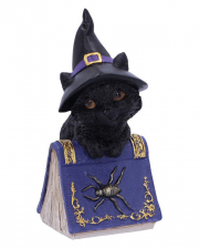 Black Witch Cat With Magic Book 12,7cm 