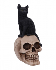 Black Cat On Skull 24,3cm 