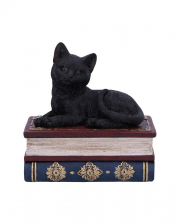 Schwarze Katze auf Hexenbücher Box 11,7cm 