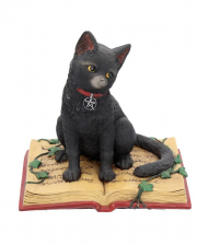 Black Cat With Witch Book 