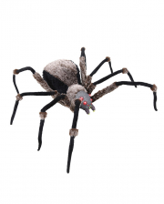Black Giant Spider With Light Eyes 130cm