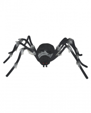 Black Spider With Gray Hair 182cm Ø 