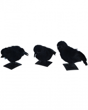 Black Deco Raven 33cm 