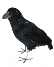Schwarze Krähe mit Federn 30 cm 