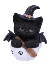 Black Witch Kitten In Teacup 