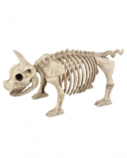 Piggy Skeleton 