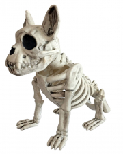 Sitzender Skelett Hund 28 