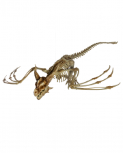Drachen Skelett mit positionierbaren Flügel 90cm 