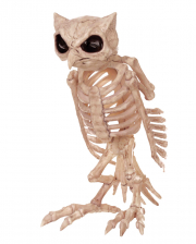 Skelett Eule 