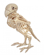 Papagei Skelett 19cm 
