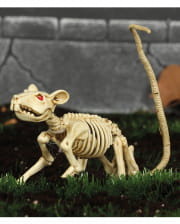 Ratten Skelett 20cm 
