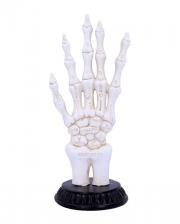 Skeleton Hand With Fortune Telling Symbols 