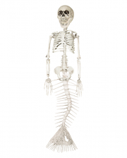 Skelett Meerjungfrau 45cm 