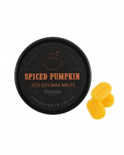 Spiced Pumpkin Soy Scented Wax Mini Melts 