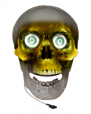 Talking Skull With Glowing Eyes