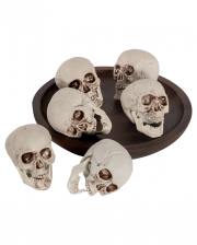 Skulls 6 pieces 