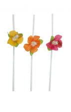 Straws with hibiscus flowers