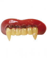 Vampire teeth Economy 