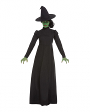 Wicked Witch Hexenkostüm für Erwachsene 
