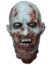 Detached zombie head 