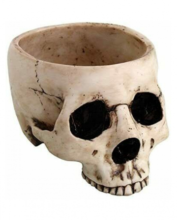 Antique Skull Bowl 470ml 