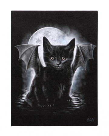 Bat Cat Canvas Picture 19 X 25 Cm 