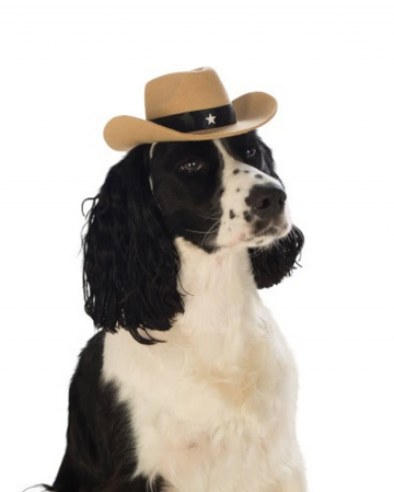 Brown cowboy hat for dog M/L