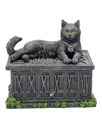 Lucky Guard Cat On Box 
