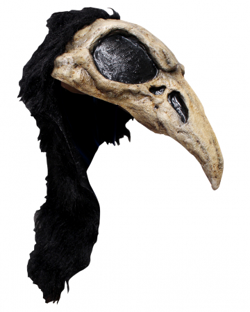 Crows helmet mask 