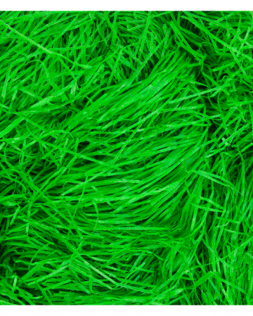 Grünes Ostergras 100 gr 