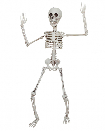 Positionable Skeleton 50cm 
