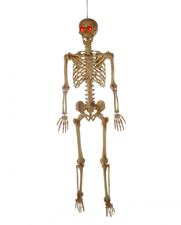 Positionable Skeleton With Glowing Red Eyes 165cm 