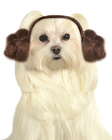 Princess Leia Dog Frisur 