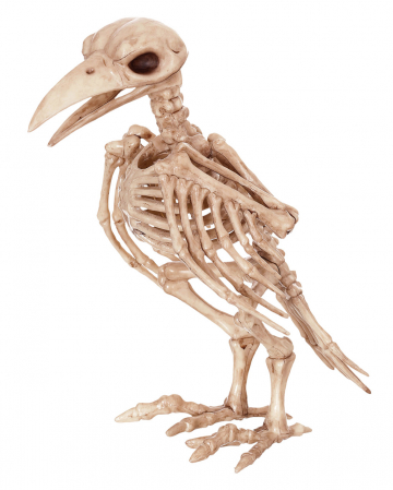 Raven Skeleton 