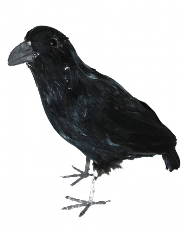 Black Raven With Feathers 30 Cm 