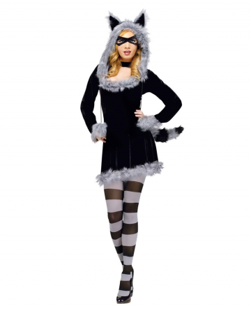 Sexy Raccoon Costume 