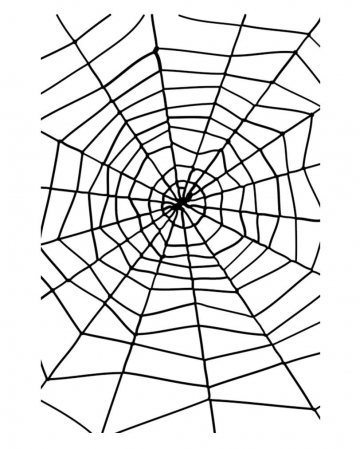 Spinnennetz schwarz 
