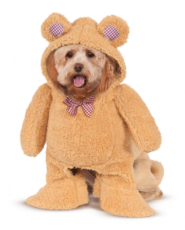 Teddy Bear Dog Costume S