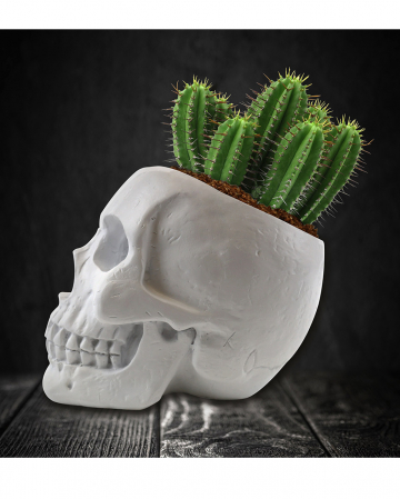 Totenschädel Pflanzset mit Kaktus Samen 