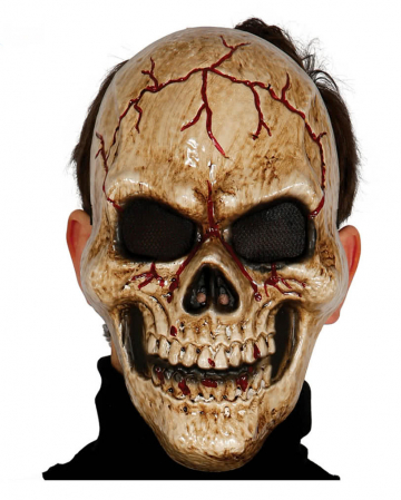 Skull Skull Mask 