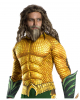 Aquaman Muscle Men Costume Deluxe 