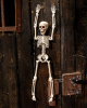 Halloween Skeleton 40 Cm 