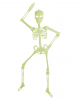 Movable UV Neon Skeleton 90cm 