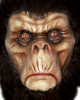 Evil Chimpanzee Mask Brown 