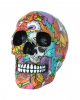 Calypso Pop Art Skull 