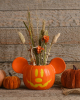 Disney Mickey Halloween Pumpkin Plant Bowl 
